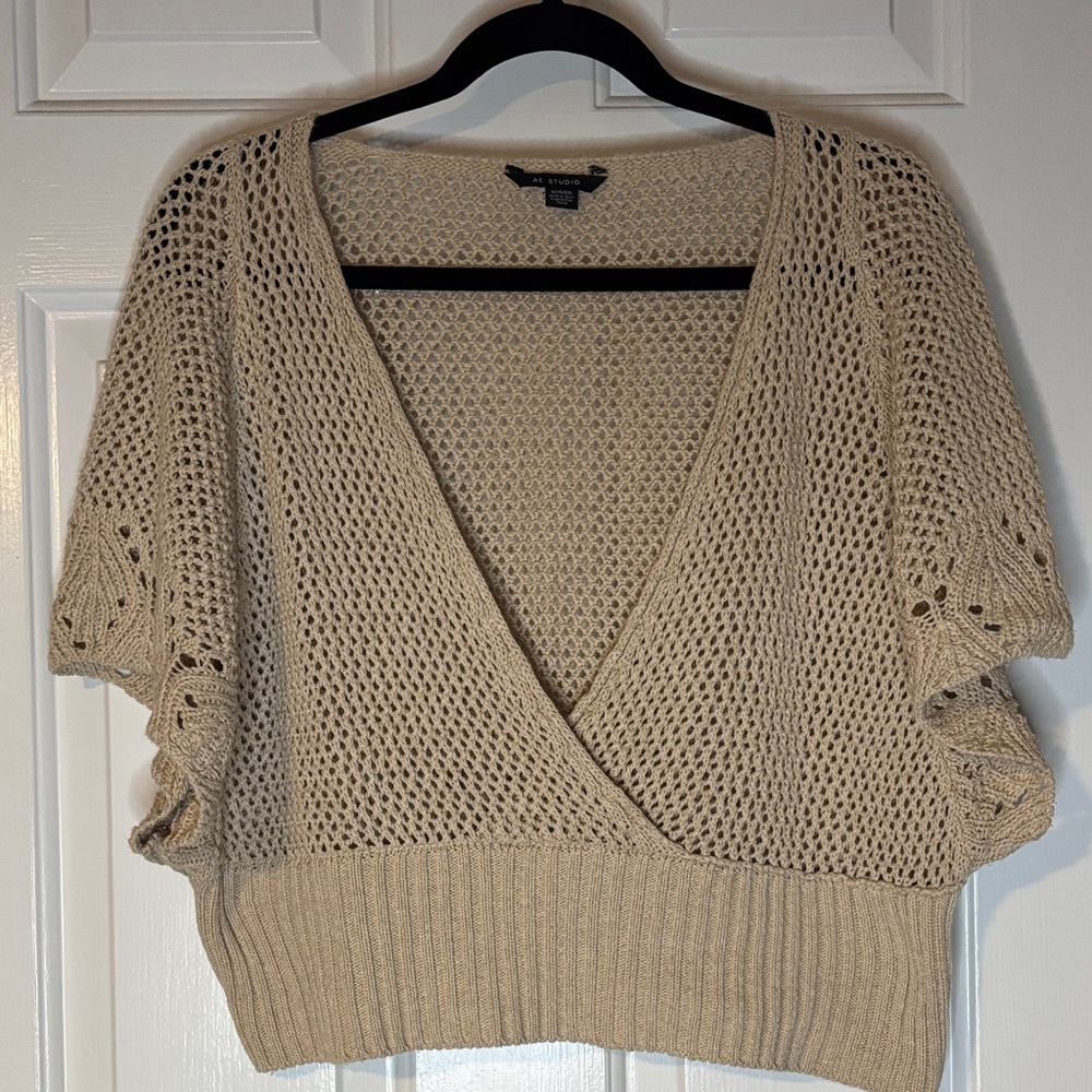 AE Studios Elegant Beige V-Neck Cropped Sweater